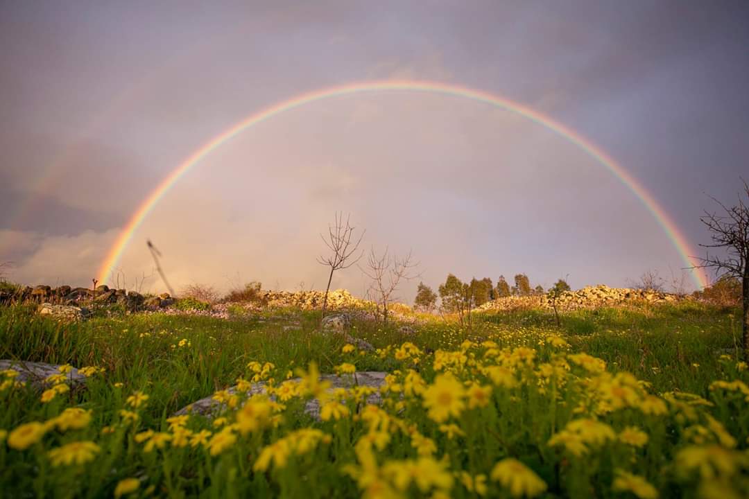 0880ba641ff25d55e641dd4d9fd84700